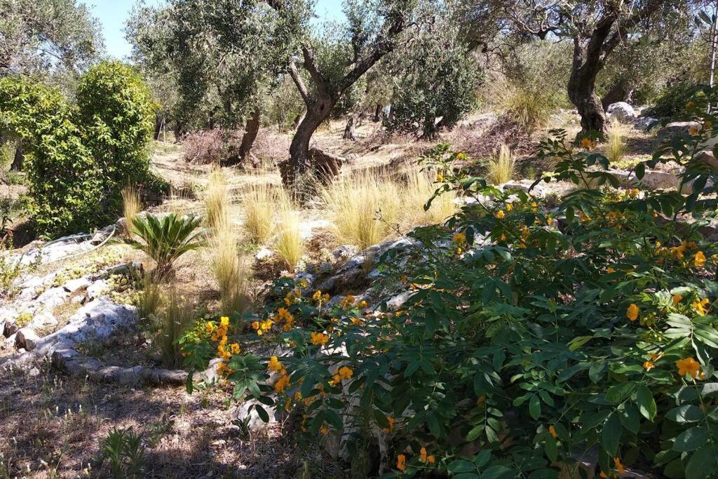 Il Giardino Di Mary Villa แตร์ราชินา ภายนอก รูปภาพ